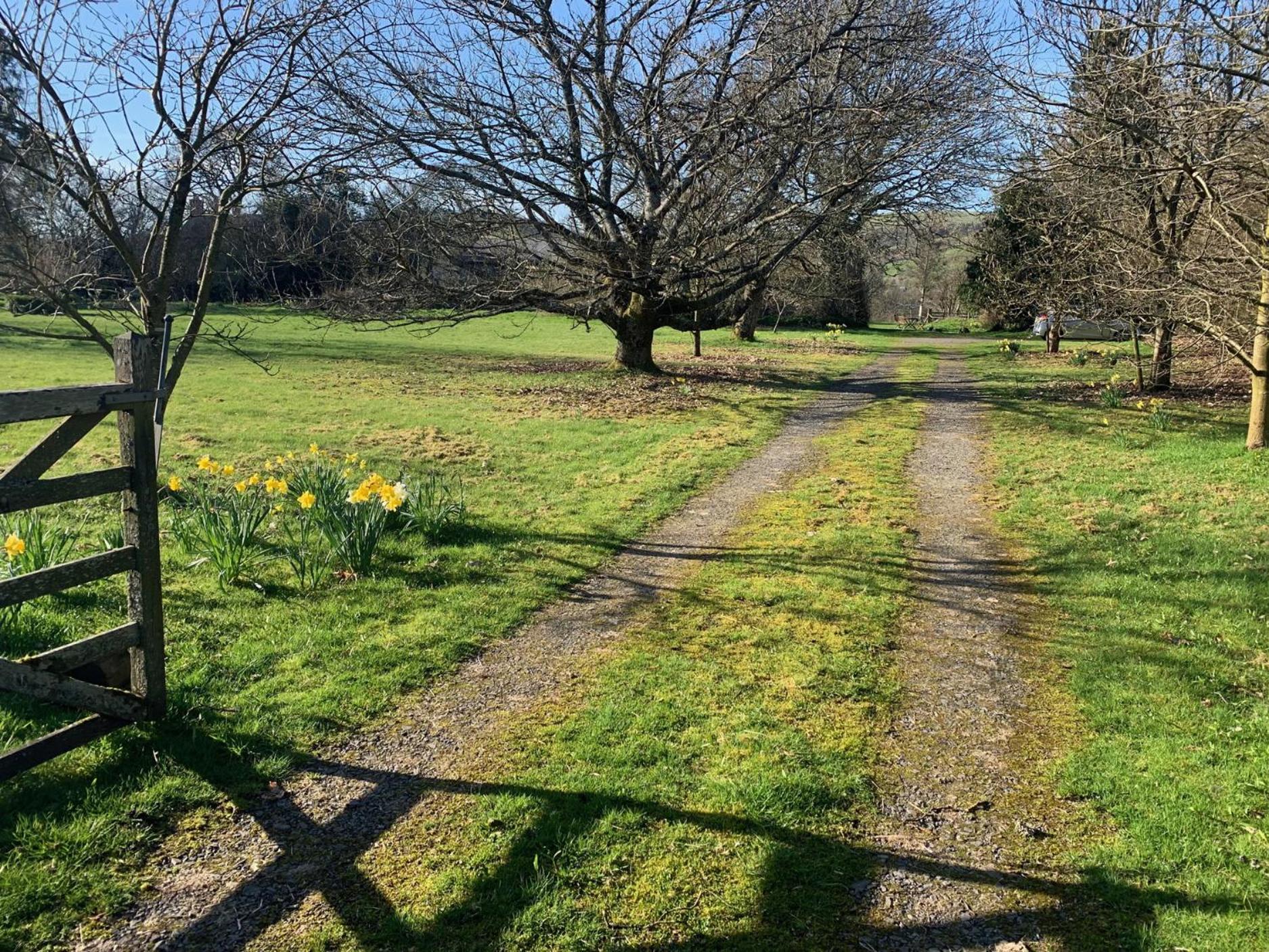 Beudy Dolpebyll Villa Llangadfan Dış mekan fotoğraf